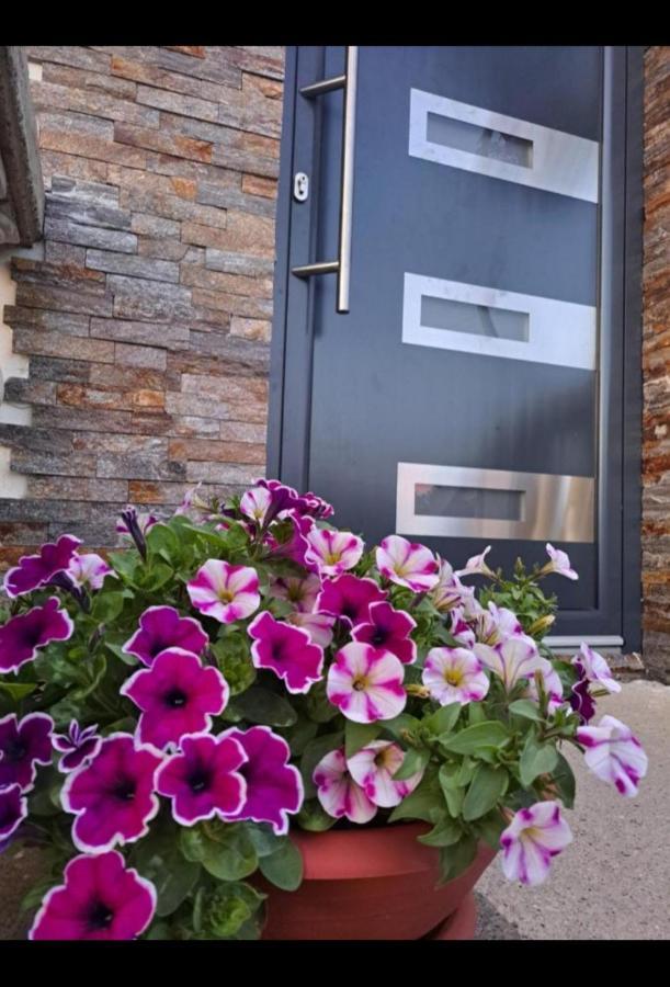 Happy House Apartment Belgrade Exterior photo